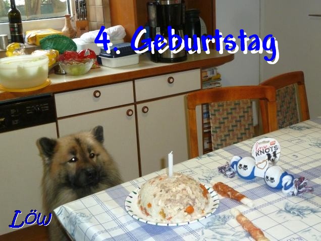 11.12.2018 - Dwix 4. Geburtstag